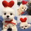 1623555230823.jpg Cute Fruit Dog Hoodie – Winter Warm Fleece Clothes for Small Dogs, Puppies & Cats