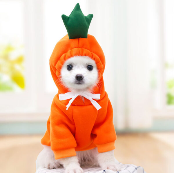 1623555230826.jpg Cute Fruit Dog Hoodie – Winter Warm Fleece Clothes for Small Dogs, Puppies & Cats