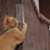 "Cat Scratch Protector – Sofa Pads for Furniture Protection