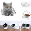 Cat Food Bowl with Stand – Double Pet Feeder for Healthy Eating & Neck Protection