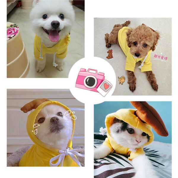 9c9ab438-36cc-4605-9418-0f543f5e4309.jpg Cute Fruit Dog Hoodie – Winter Warm Fleece Clothes for Small Dogs, Puppies & Cats